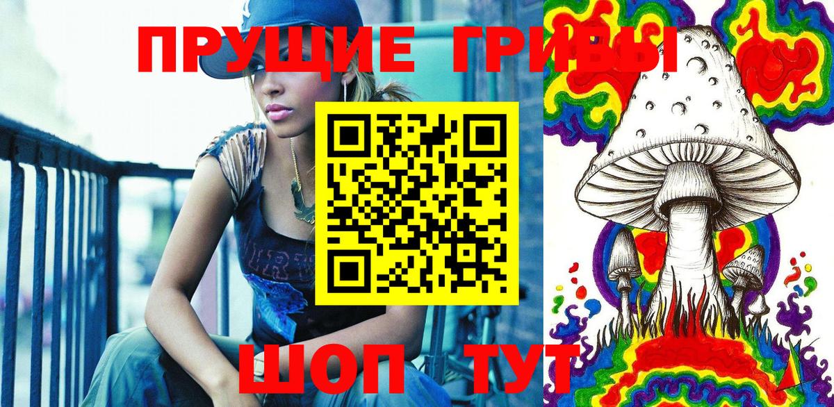 Псилоцибиновые грибы мицелий Кувандык